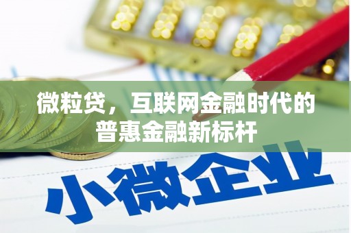 学甲微粒贷，互联网金融时代的普惠金融新标杆