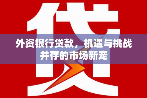 甘州外资银行贷款，机遇与挑战并存的市场新宠