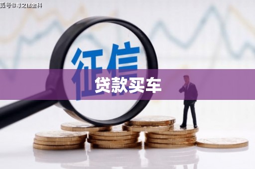 法库贷款买车