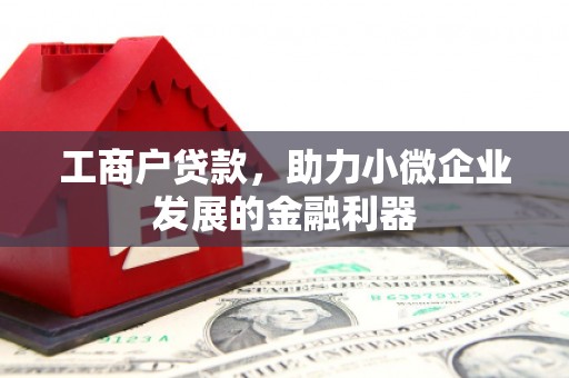 湛河工商户贷款,助力小微企业发展的金融利器 湛河工商户贷款,助力小微企业发展的金融利器