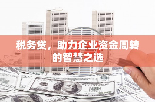 惠济税务贷，助力企业资金周转的智慧之选