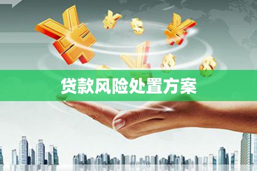 高要贷款风险处置方案