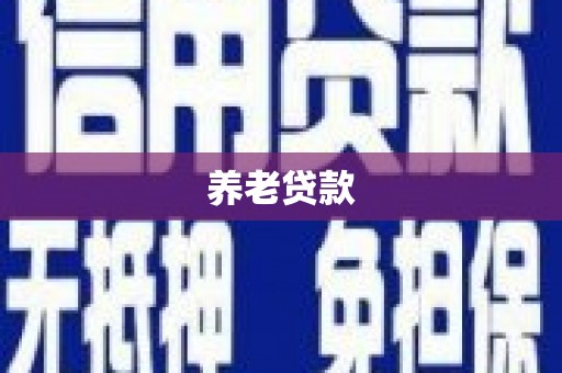 永宁养老贷款