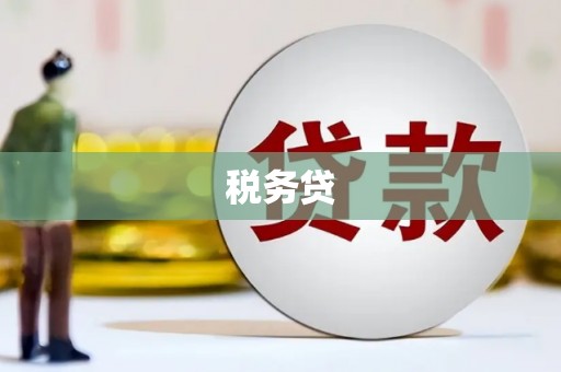 小店税务贷