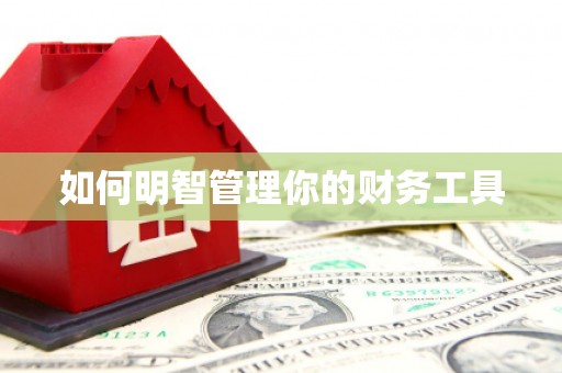 虎林如何明智管理你的财务工具