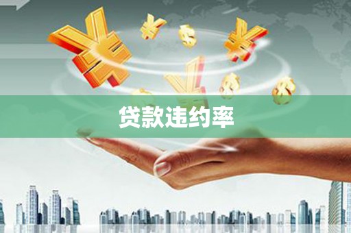 贵德贷款违约率