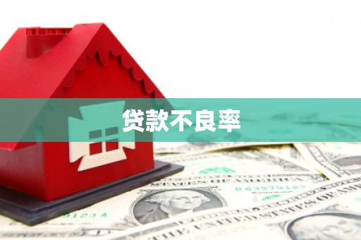 临夏贷款不良率