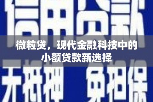 苍南微粒贷，现代金融科技中的小额贷款新选择