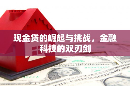 苍南现金贷的崛起与挑战，金融科技的双刃剑