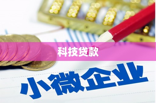 华龙科技贷款