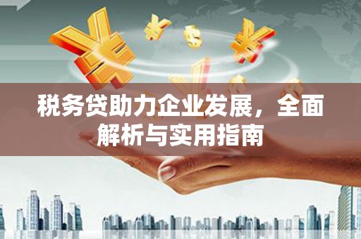 岳西税务贷助力企业发展，全面解析与实用指南