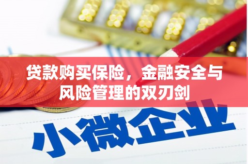 依兰贷款购买保险，金融安全与风险管理的双刃剑