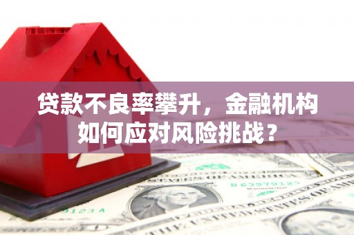坦洲贷款不良率攀升，金融机构如何应对风险挑战？