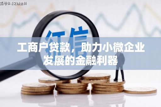 仙游工商户贷款，助力小微企业发展的金融利器