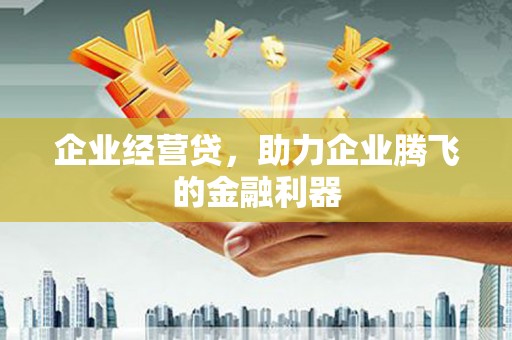 清涧企业经营贷，助力企业腾飞的金融利器