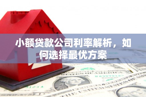 志丹小额贷款公司利率解析，如何选择最优方案