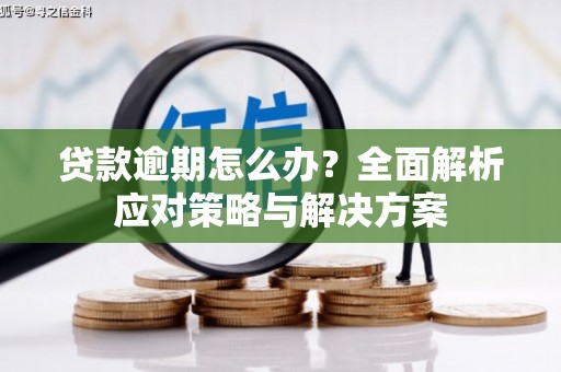 山南贷款逾期怎么办？全面解析应对策略与解决方案