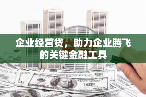嘉黎企业经营贷，助力企业腾飞的关键金融工具