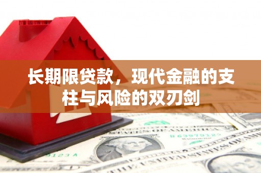 嘉禾长期限贷款，现代金融的支柱与风险的双刃剑