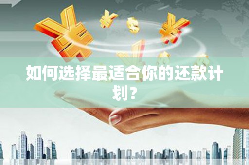 沙湾如何选择最适合你的还款计划？