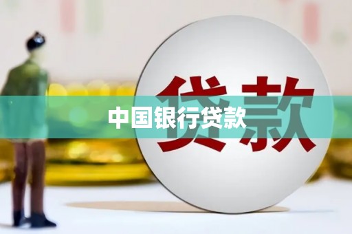 盐津中国银行贷款