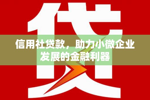 学甲信用社贷款，助力小微企业发展的金融利器