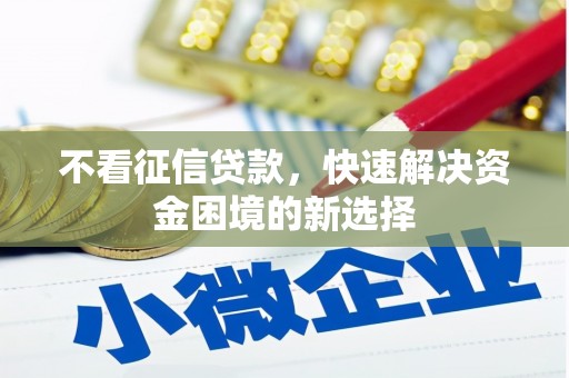 德清不看征信贷款，快速解决资金困境的新选择