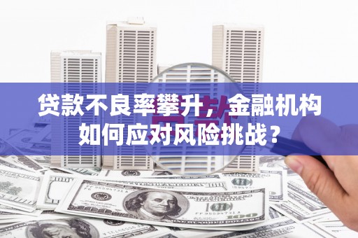 台东贷款不良率攀升，金融机构如何应对风险挑战？