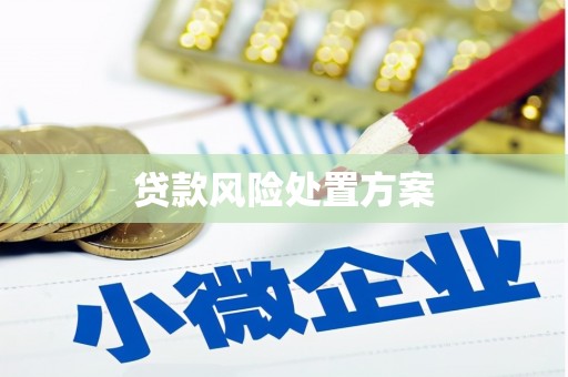 淄博贷款风险处置方案