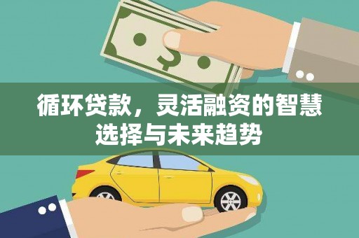 普湾新区循环贷款，灵活融资的智慧选择与未来趋势