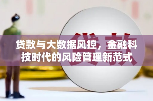 沙洋贷款与大数据风控，金融科技时代的风险管理新范式