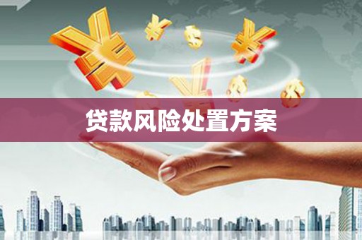 巩义贷款风险处置方案