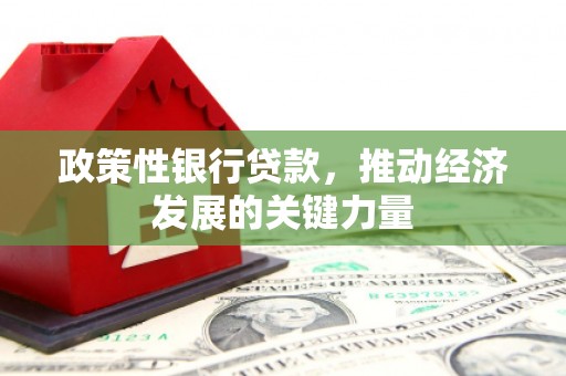 崇仁政策性银行贷款，推动经济发展的关键力量