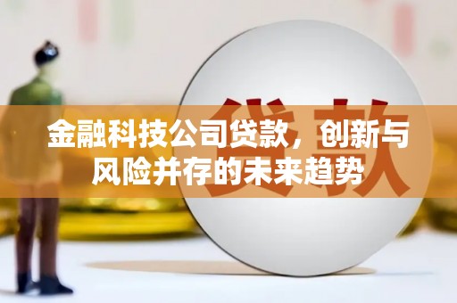 遵化市金融科技公司贷款，创新与风险并存的未来趋势
