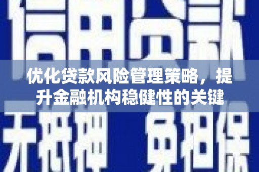 寿丰优化贷款风险管理策略，提升金融机构稳健性的关键