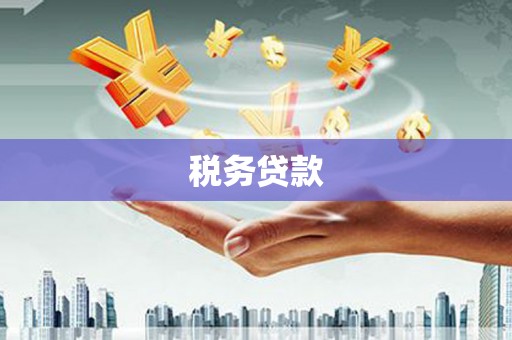 瑞金税务贷款