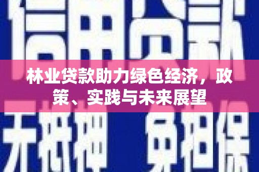 岳麓林业贷款助力绿色经济，政策、实践与未来展望