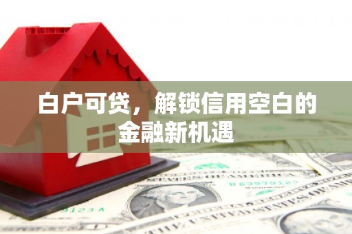 嘉定白户可贷，解锁信用空白的金融新机遇