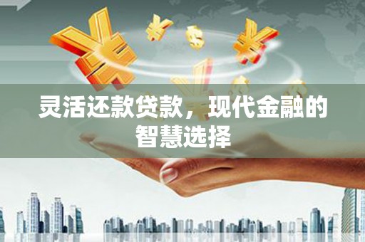 山阳灵活还款贷款，现代金融的智慧选择