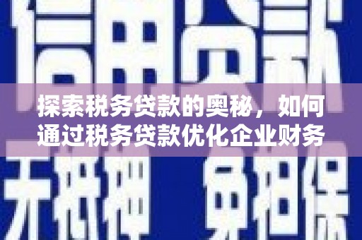 海勃湾探索税务贷款的奥秘，如何通过税务贷款优化企业财务