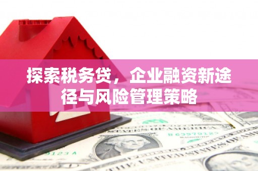 中西区探索税务贷，企业融资新途径与风险管理策略