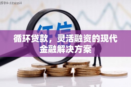 龙岗循环贷款，灵活融资的现代金融解决方案