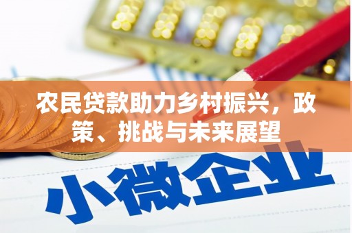 阳谷农民贷款助力乡村振兴，政策、挑战与未来展望