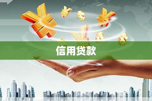 全南信用贷款