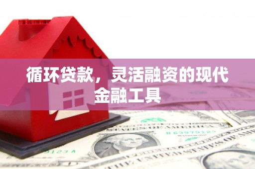 沿河循环贷款，灵活融资的现代金融工具