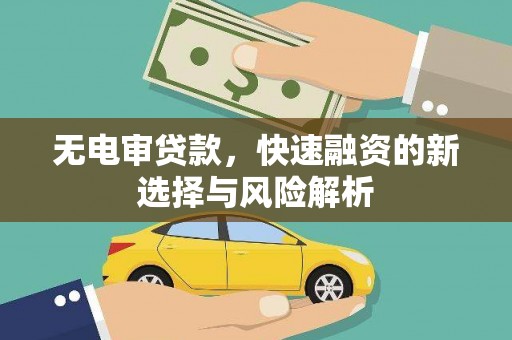 纳雍无电审贷款，快速融资的新选择与风险解析
