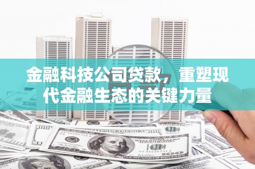 中和金融科技公司贷款，重塑现代金融生态的关键力量