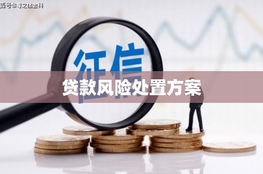 五峰贷款风险处置方案