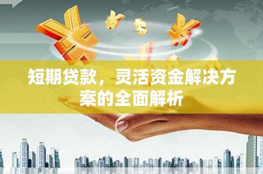 东兴短期贷款，灵活资金解决方案的全面解析