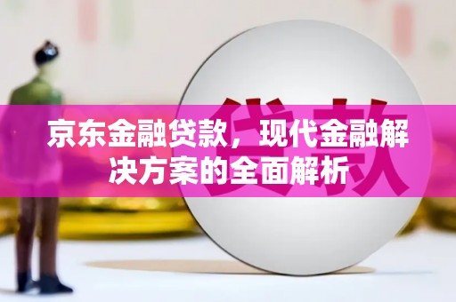 萍乡京东金融贷款，现代金融解决方案的全面解析